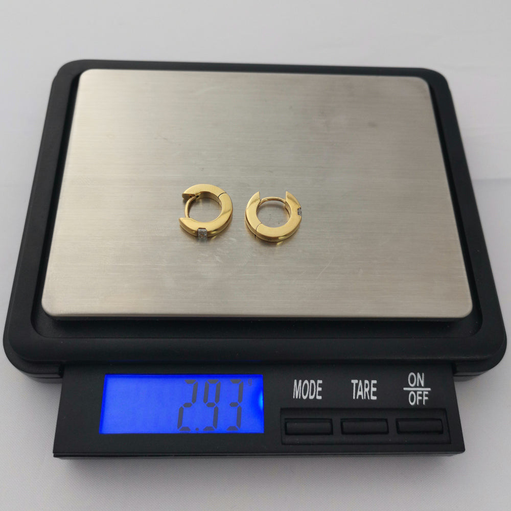GESS206 STAINLESS STEEL EARRING AAB CO..