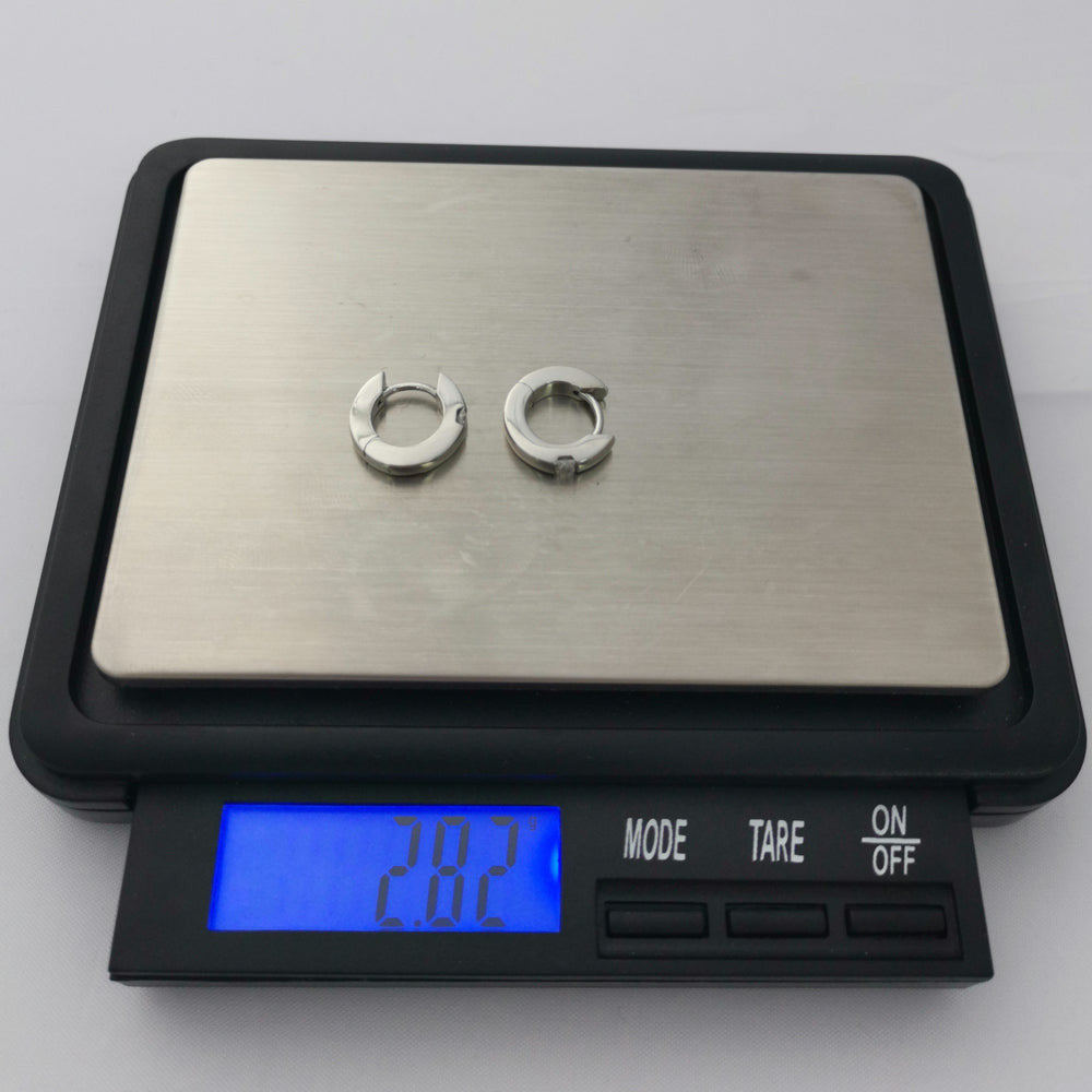 GESS206 STAINLESS STEEL EARRING AAB CO..