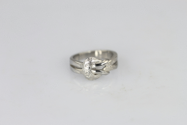 GRSS659 STAINLESS STEEL RING