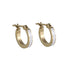 GESS430 STAINLESS STEEL EARRING
