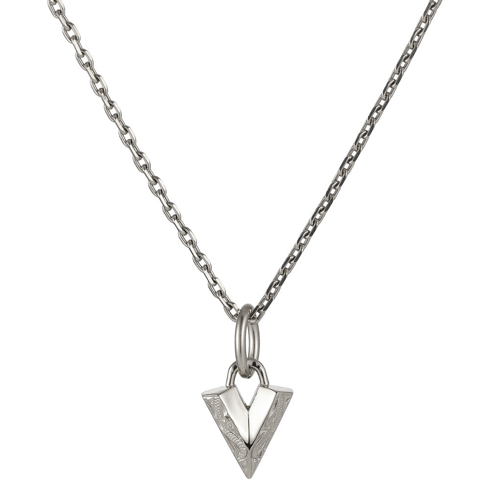 GPSS1494 STAINLESS STEEL PENDANT AAB CO..