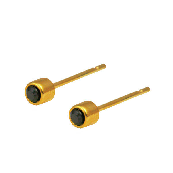 GESS01 STAINLESS STEEL EAR STUD  
(price by per Pair)