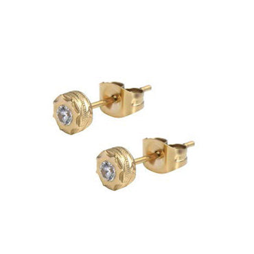 GESS136 STAINLESS STEEL EARRING AAB CO..