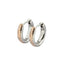 GESS154 STAINLESS STEEL EARRING