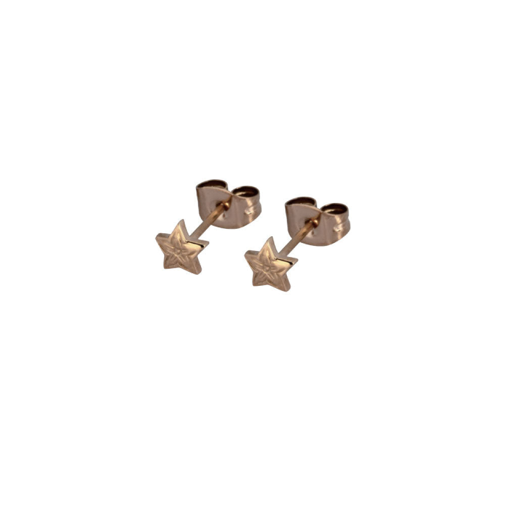 GESS168 STAINLESS STEEL EARRING AAB CO..