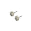 GESS175 STAINLESS STEEL EARRING