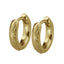 GESS266 STAINLESS STEEL EARRING