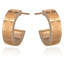 GESS24 STAINLESS STEEL EARRING