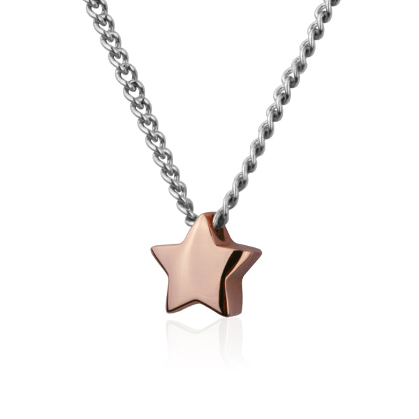 GNSS51 STAINLESS STEEL NECKLACE
(star shape) AAB CO..