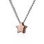 GNSS51 STAINLESS STEEL NECKLACE
(star shape) AAB CO..