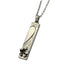 GPSS1058 STAINLESS STEEL PENDANT