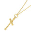 GPSS1172 STAINLESS STEEL PENDANT