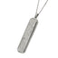GPSS1204 STAINLESS STEEL PENDANT AAB CO..
