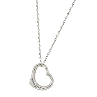 GPSS1258 STAINLESS STEEL PENDANT AAB CO..