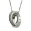 GPSS1302 STAINLESS STEEL PENDANT AAB CO..