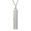 GPSS1365 STAINLESS STEEL PENDANT AAB CO..