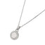 GPSS1427 STAINLESS STEEL PENDANT AAB CO..