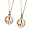 GPSS217 STAINLESS STEEL PENDANT

Only those who dare to fail greatly can ever achieve AAB CO..