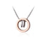 GPSS360 STAINLESS STEEL PENDANT AAB CO..