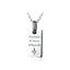 GPSS417 STAINLESS STEEL PENDANT

Keep true to the dreams of thy youth AAB CO..