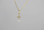 GPSS455 STAINLESS STEEL PENDANT
