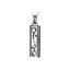 GPSS516 STAINLESS STEEL PENDANT AAB CO..
