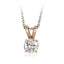 GPSS638 STAINLESS STEEL PENDANT