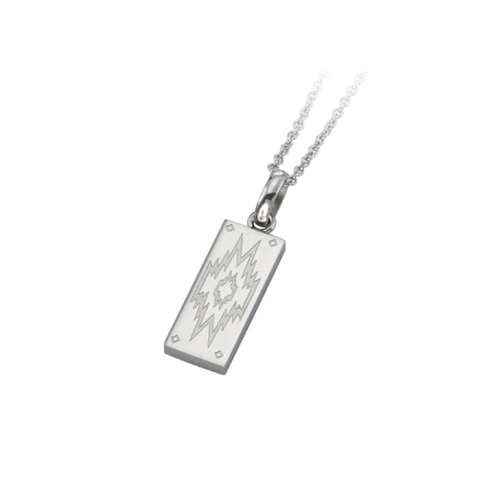 GPSS701 STAINLESS STEEL PENDANT AAB CO..