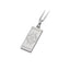 GPSS702 STAINLESS STEEL PENDANT AAB CO..