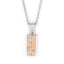 GPSS794 STAINLESS STEEL PENDANT