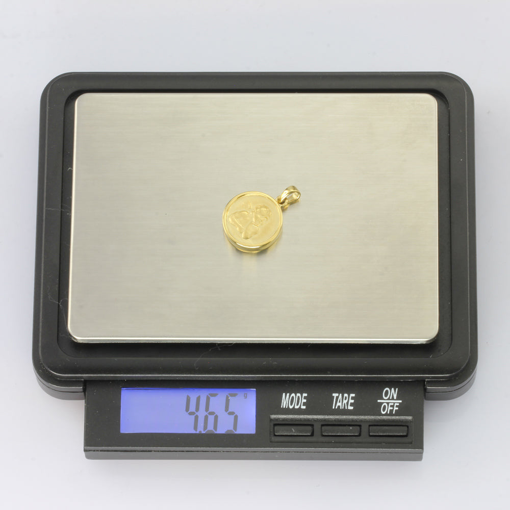 GPSS837 STAINLESS STEEL PENDANT AAB CO..