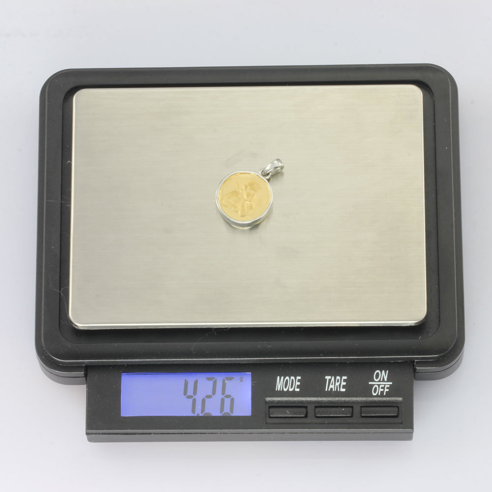 GPSS837 STAINLESS STEEL PENDANT AAB CO..