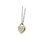 GPSS868 STAINLESS STEEL PENDANT AAB CO..