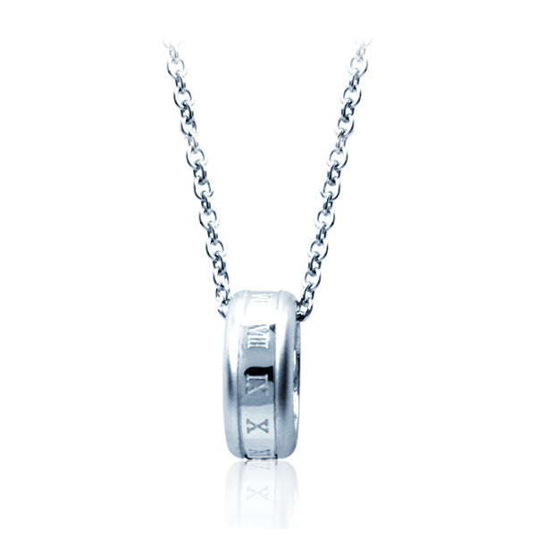 GPSS202 STAINLESS STEEL PENDANT AAB CO..