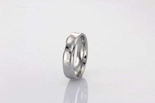 GRSS436 STAINLESS STEEL RING