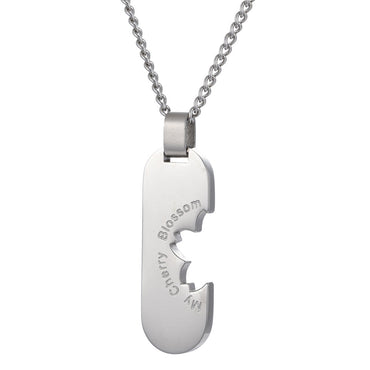 INP149 STAINLESS STEEL PENDANT AAB CO..