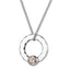 INP161C STAINLESS STEEL PENDANT CZ AAB CO..