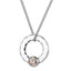 INP161C STAINLESS STEEL PENDANT CZ