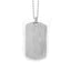 INP267A STAINLESS STEEL PENDANT AAB CO..