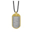 INP273A STAINLESS STEEL PENDANT AAB CO..