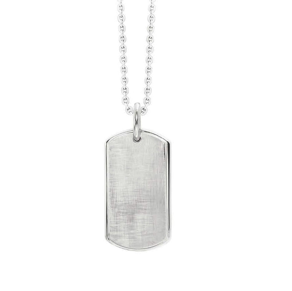 INP86A STAINLESS STEEL PENDANT AAB CO..