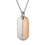 INP98B STAINLESS STEEL PENDANT PVD CZ AAB CO..