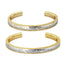 GBSG73 STAINLESS STEEL BANGLE AAB CO..