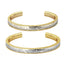 GBSG73 STAINLESS STEEL BANGLE AAB CO..