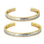 GBSG73 STAINLESS STEEL BANGLE