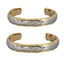 GBSG94 STAINLESS STEEL BANGLE AAB CO..