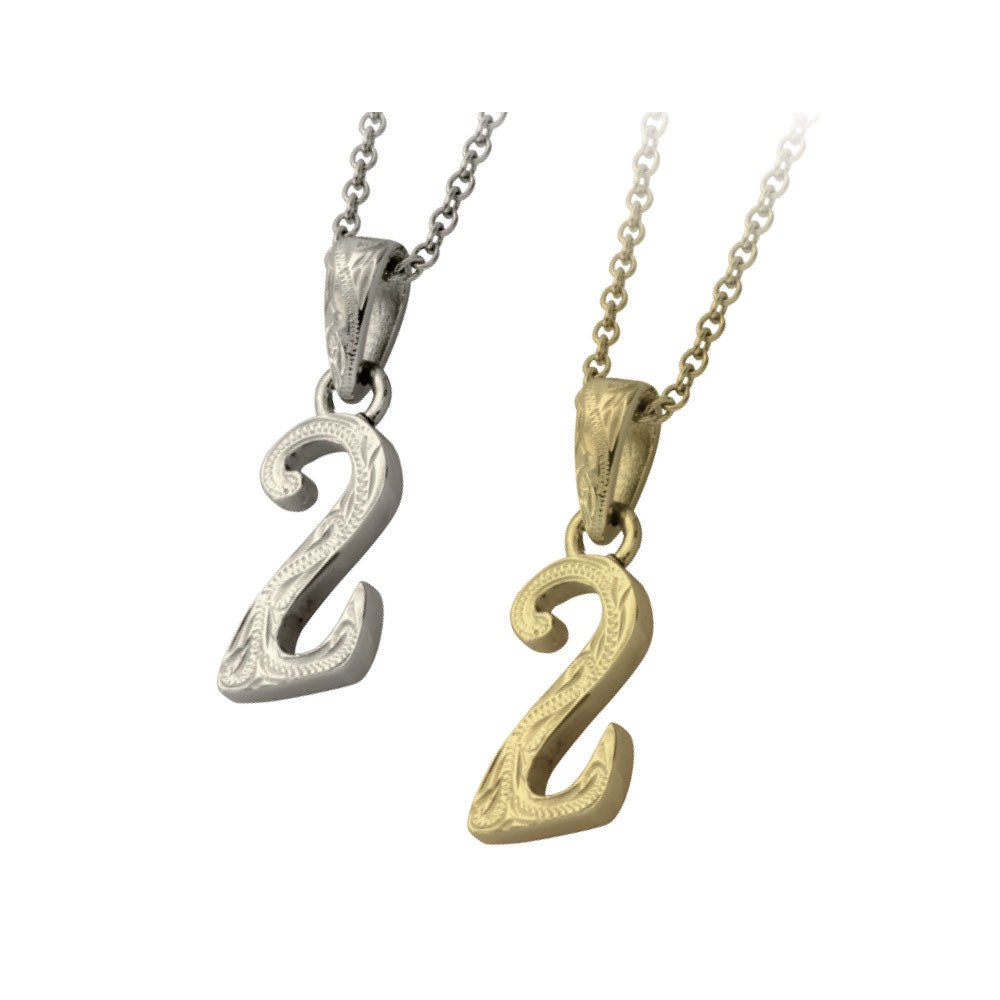 GPSS1082.2 STAINLESS STEEL PENDANT (NO.2) AAB CO..