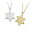PSS1078 STAINLESS STEEL PENDANT