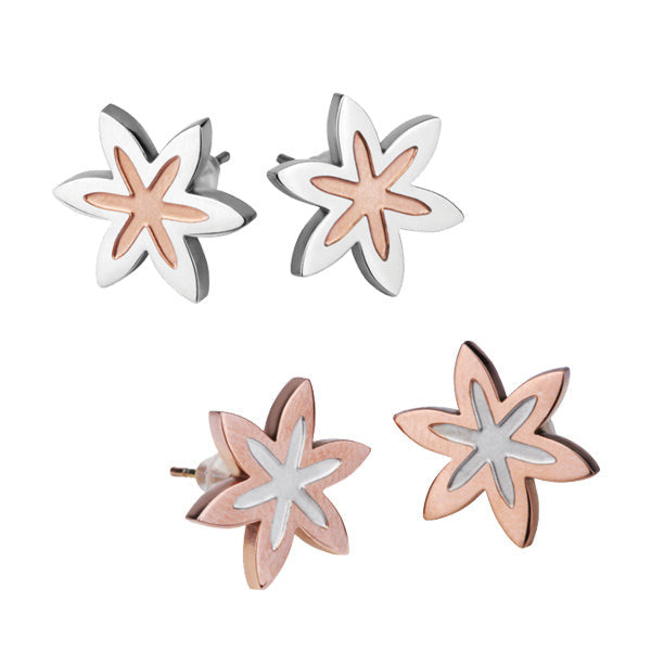 ESS206 STAINLESS STEEL EARRING AAB CO..