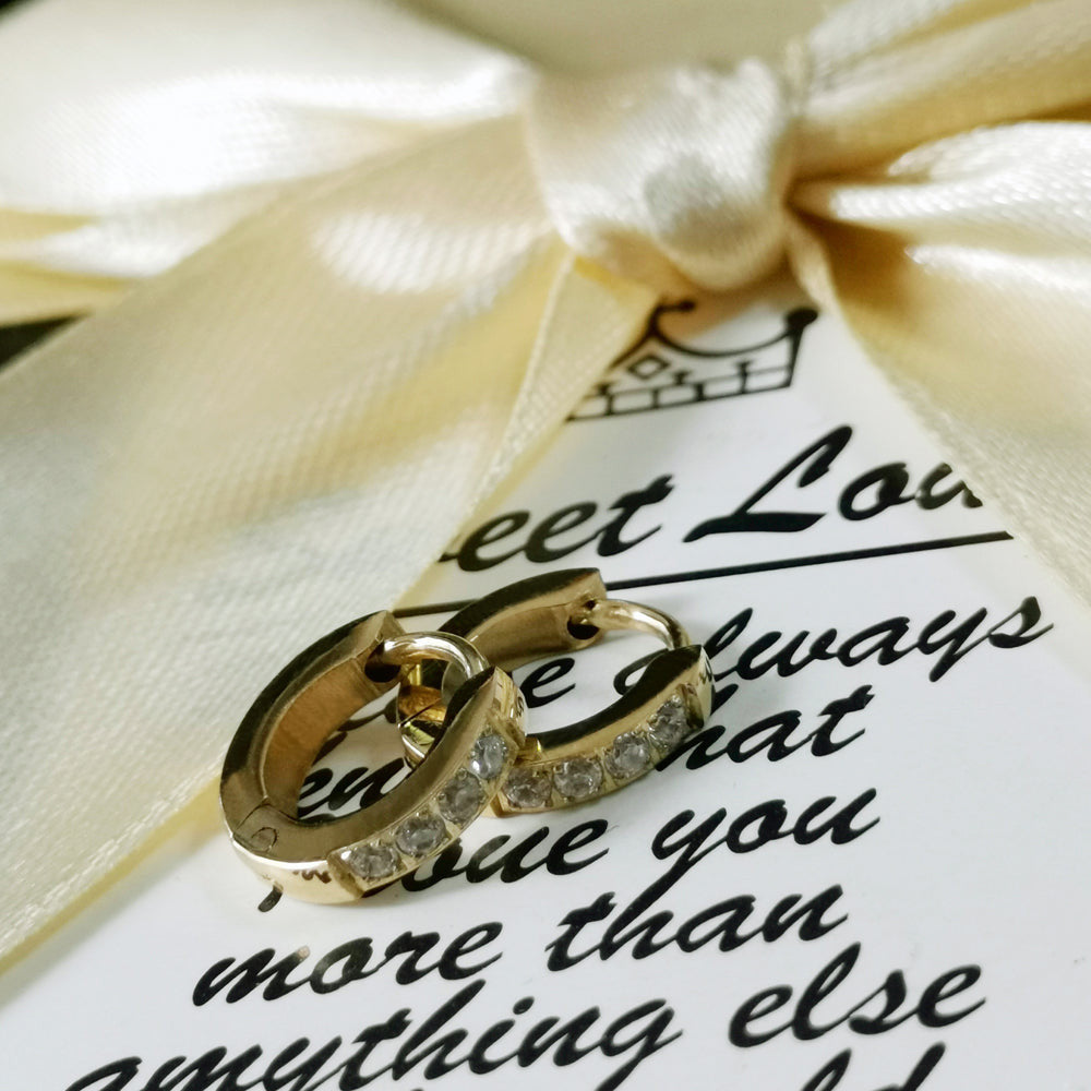 MESS26 STAINLESS STEEL EARRING WITH CZ AAB CO..